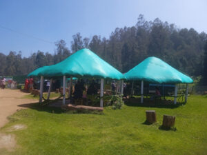 Mannavanur Lake Kodaikanal – Entry Fee, Timings, Rabbit & Sheep Farm ...