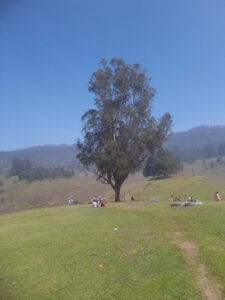 Mannavanur Lake Kodaikanal – Entry Fee, Timings, Rabbit & Sheep Farm ...