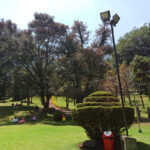 Top 15 places to visit in Kodaikanal - Bryant park