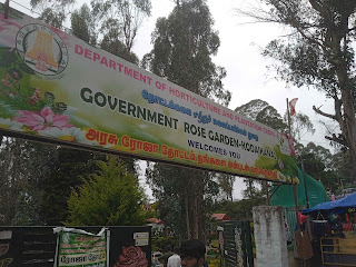 flower garden in kodaikanal