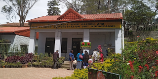rose garden kodaikanal government rose garden kodaikanal