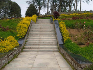 kodaikanal botanical garden - rose garden kodaikanal