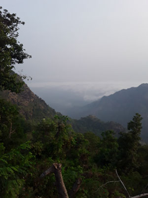 Green valley view of Kodaikanal during monsoon season