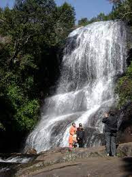 Bear Shola Falls Kodaikanal – peaceful waterfall for picnics