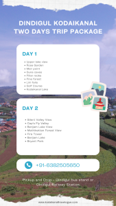 Dindigul to Kodaikanal 2 days 1 night tour package