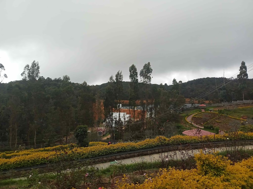 Rose garden Kodaikanal