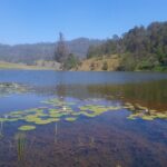 Kodaikanal Travelogue