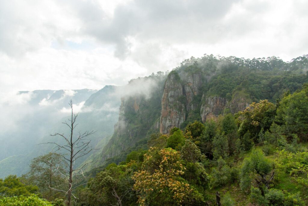 Best hill stations near Madurai Kodaikanal view