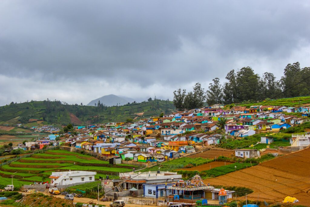 Ooty Nilgiri toy train passing tea gardens